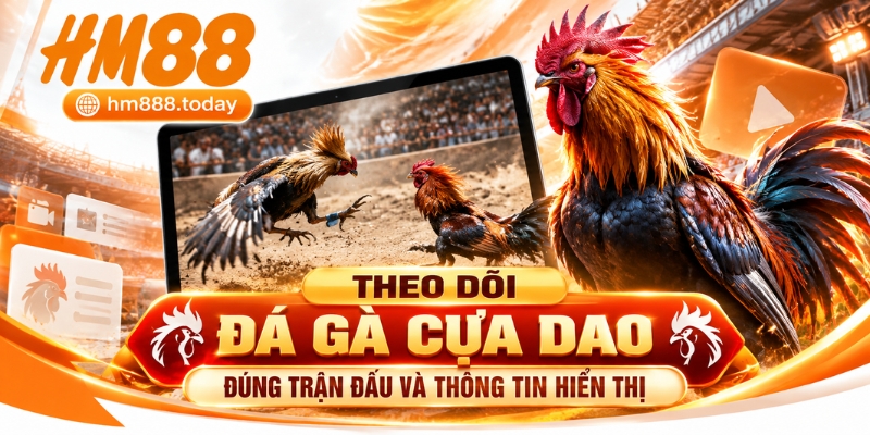 Theo dõi Đá Gà Cựa Dao đúng trận đấu và thông tin hiển thị 